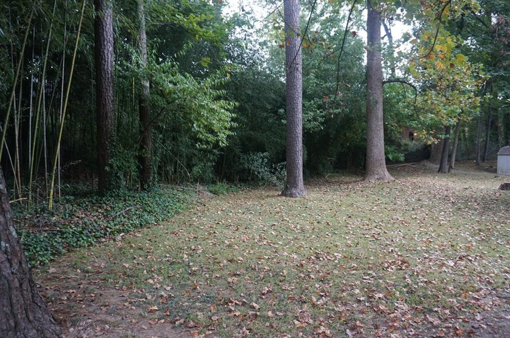3450 Casa Woods Ln, Clarkston, GA 30021
