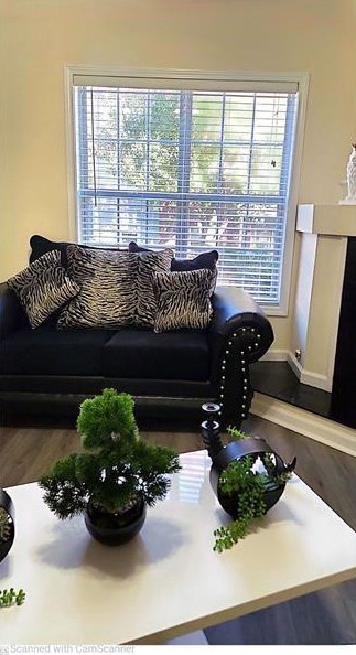 4243 Orchard Grv, Stone Mountain GA  30083-1293 exterior