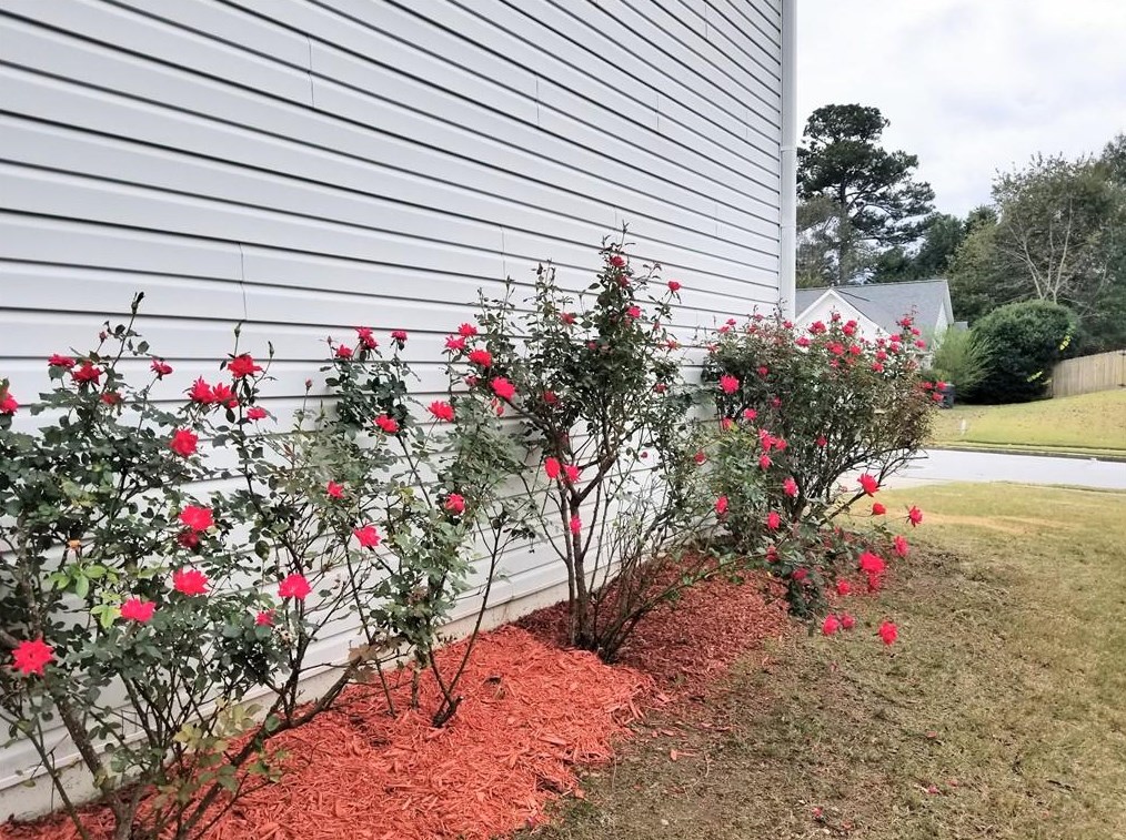 1620 Bramlett Forest Trl, Lawrenceville GA  30045-7282 exterior