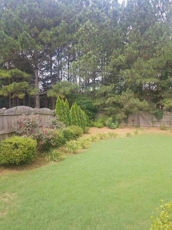 113 Ivygreen Chase, Holly Springs, GA 30114