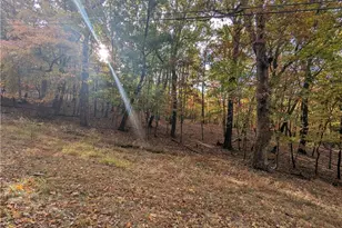 0 Oglethorpe Mountain Rd, Jasper, GA 30143 - Photo 1