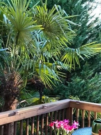 1671 Tailmore Ln, Lawrenceville, GA 30043-7862