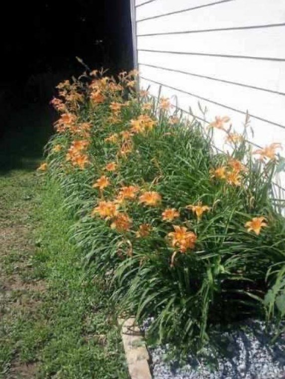 555 Sterling Pointe Ct, Lawrenceville GA 30043-7404 exterior