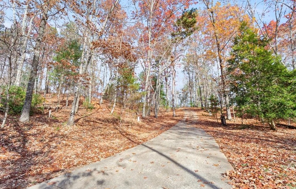 388 Hound Dog Ln, Dahlonega, GA 30533