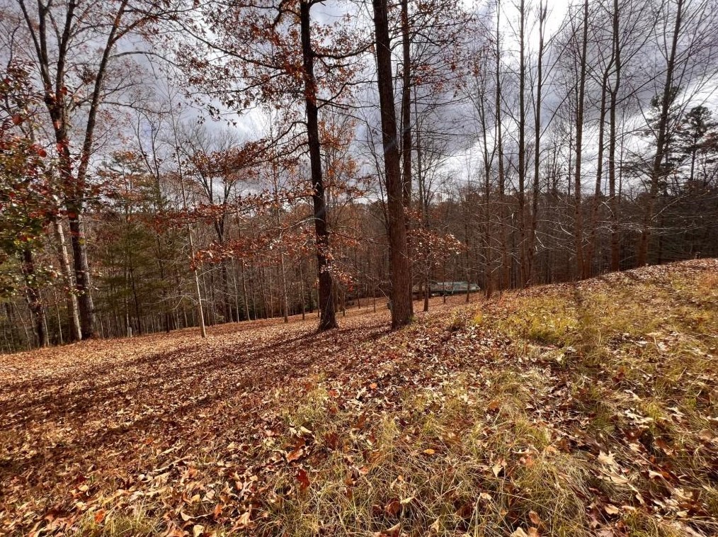251 Forest Run, Dahlonega, GA 30533