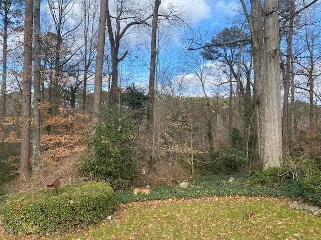 1152 Beech Haven Rd Ne, Atlanta, GA 30324
