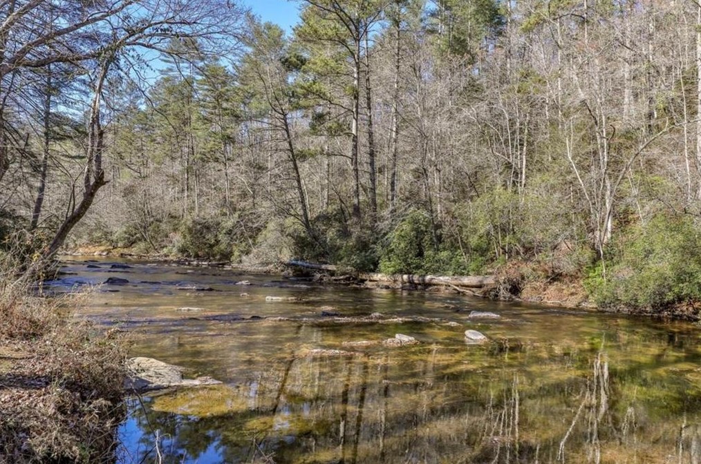 136 Gallery Ct, Ellijay, GA 30540