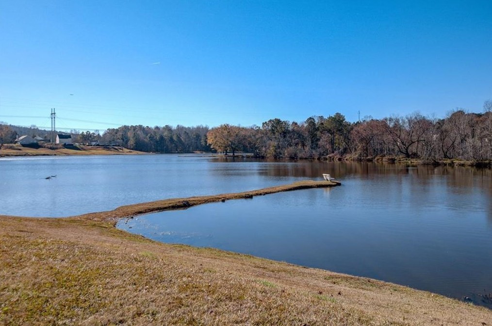 6753 Browns Ml Fry Ct, Lithonia GA 30038-4521 exterior