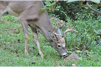 191+/- Acres Off Hwy. 136, Dawsonville, GA 30534 - Photo 78