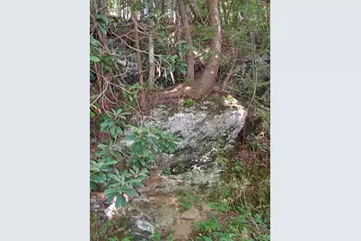 191+/- Acres Off Hwy. 136, Dawsonville, GA 30534 - Photo 84