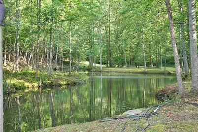 191+/- Acres Off Hwy. 136, Dawsonville, GA 30534 - Photo 22