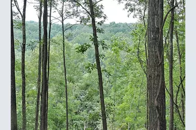 191+/- Acres Off Hwy. 136, Dawsonville, GA 30534 - Photo 28