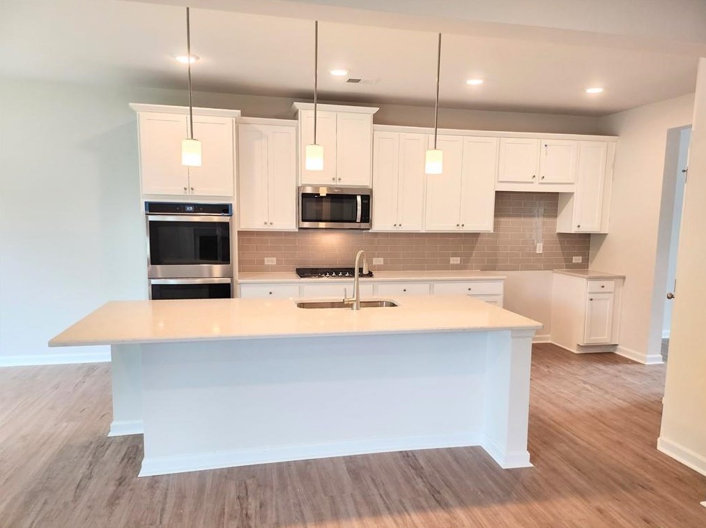 234 Carmichael Dr, Holly Springs, GA 30115
