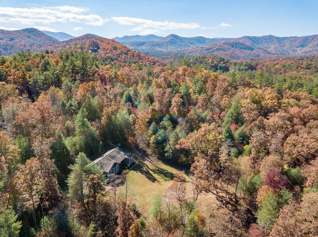 5 Pine Tree Dr, Blue Ridge, GA 30513-5900