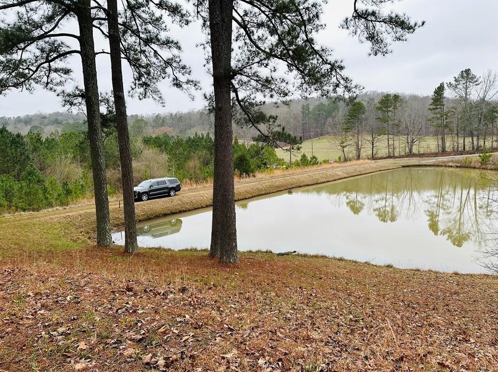 6100 Dabbs Bridge Rd, Acworth, GA 30101