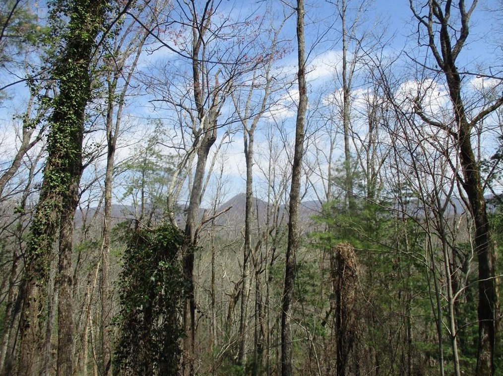 445 Ward Ridge Rd, Big Canoe GA  30143-6626 exterior