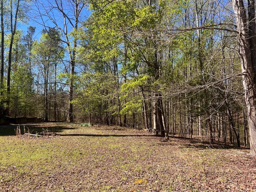 790 Swan Ln, Holly Springs, GA 30115-4121