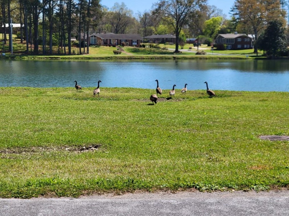 135 Springdale Dr, Cedartown, GA 30125