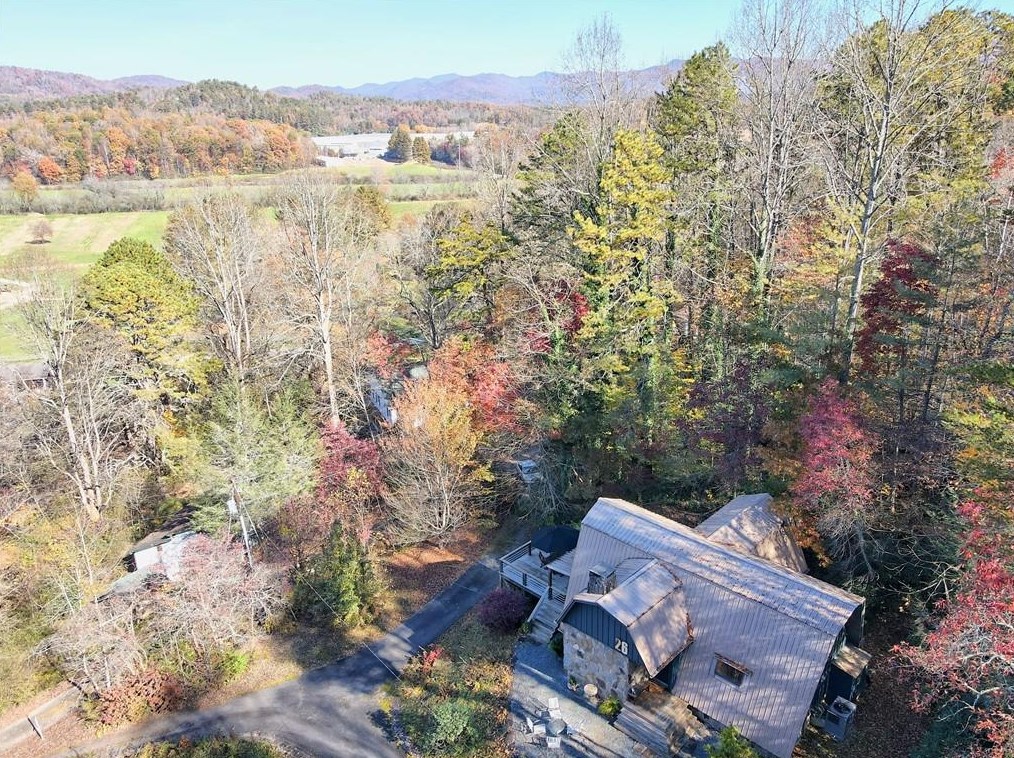 26 Muffin Ln, Rabun Gap, GA 30568