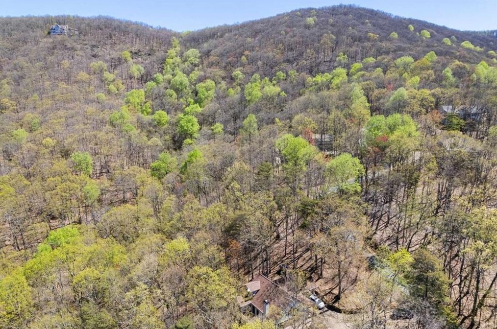 185 Sassafras Mtn Trl, Big Canoe GA  30143-7970 exterior