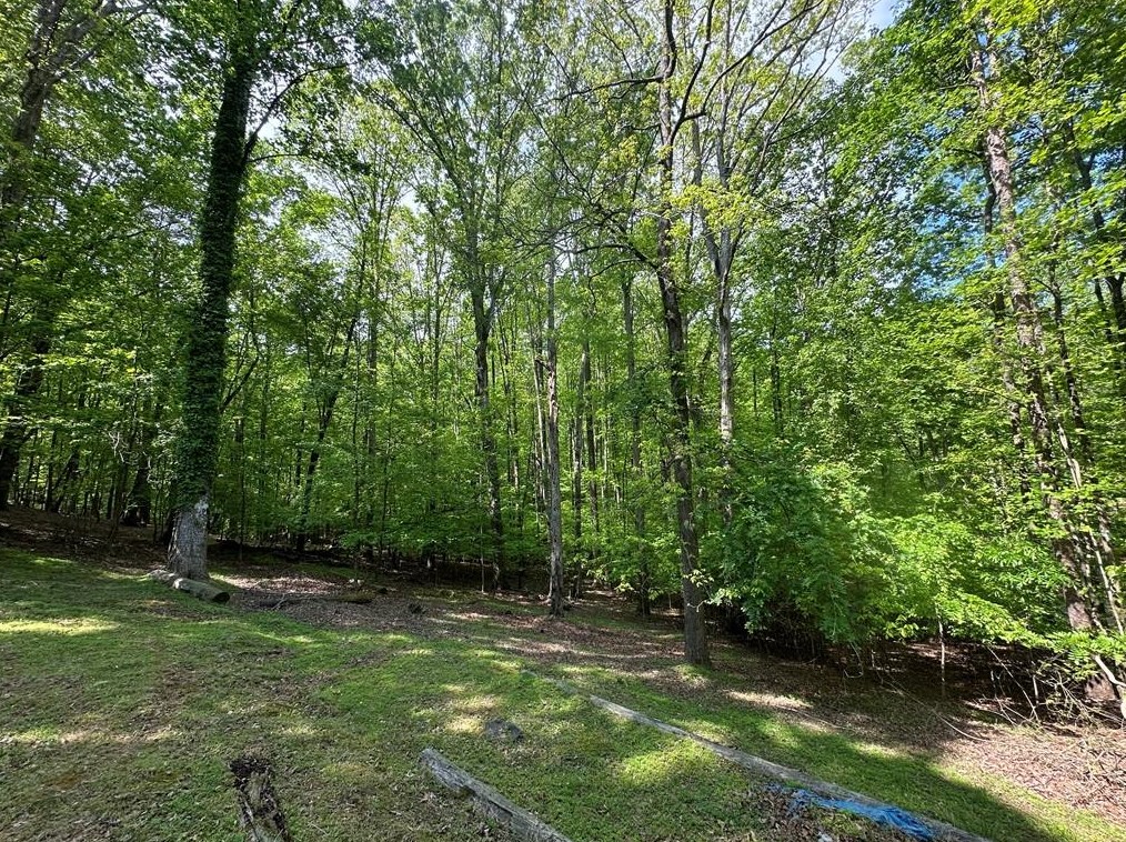 2667 Tammi Ln, Gainesville GA 30506-1111 exterior