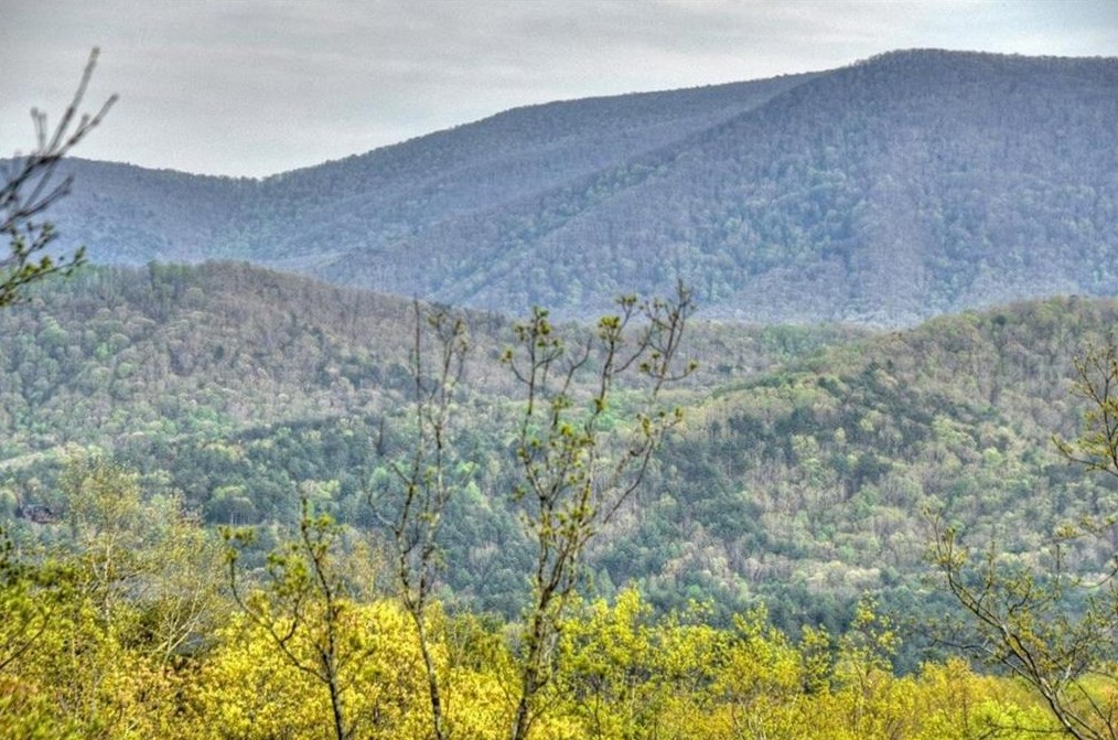 50 Broken Arrow Path, Blue Ridge, GA 30513-7014