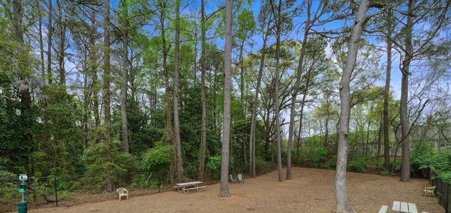 105 Vinings Frst Cir, Smyrna GA 30080-3918 exterior