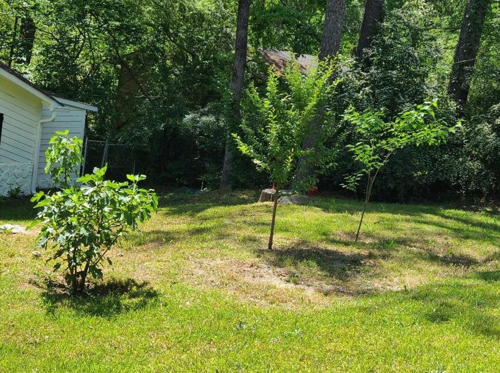 3362 Chesterfield Ct, Lithonia, GA 30039-4607