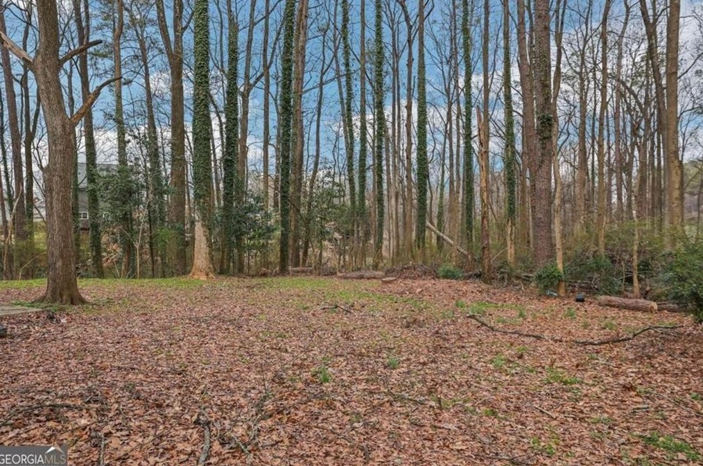 2230 Brannen Rd, Atlanta GA  30316-4118 exterior