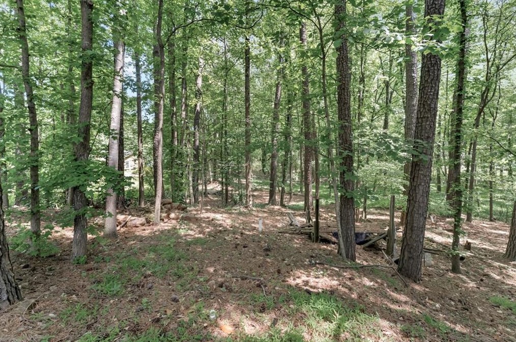 11055 Indian Vlg Dr, Alpharetta GA 30022-6503 exterior