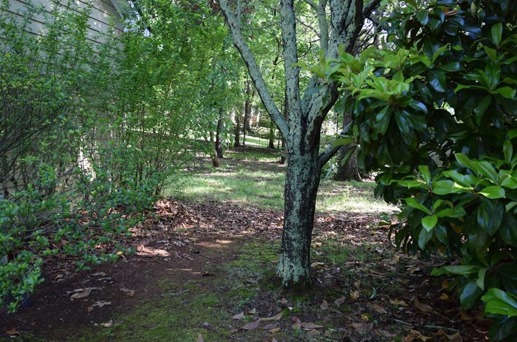 24 Indian Springs Dr, Rydal GA  30171-1636 exterior
