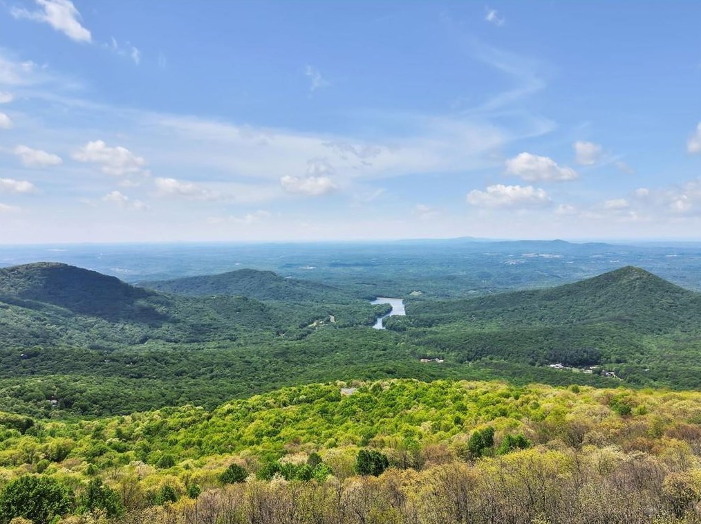 108 Sassafras Mountain Top Ln, Big Canoe, GA 30143-0028