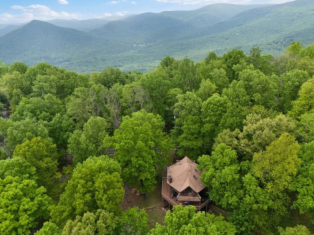 36 Big Stump Mountain Trl, Big Canoe, GA 30143-7996