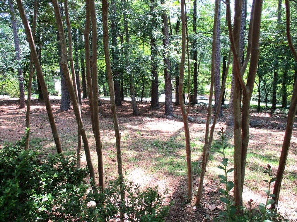 140 Sunrise Ter, Calhoun, GA 30701-4638
