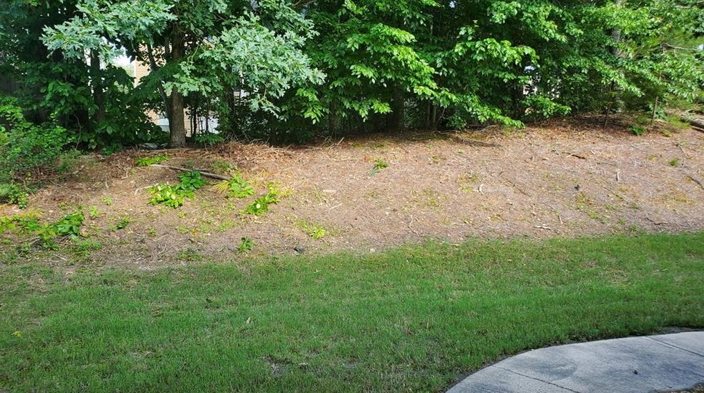3095 Goldmist Dr, Buford, GA 30519-7814