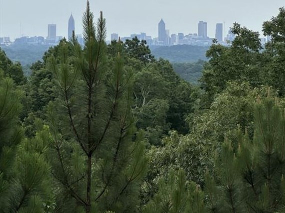 220 Ridgecrest Rd, Mableton, GA 30126-5624
