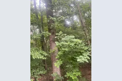 0 Butner Road, Atlanta, GA 30331 - Photo 4