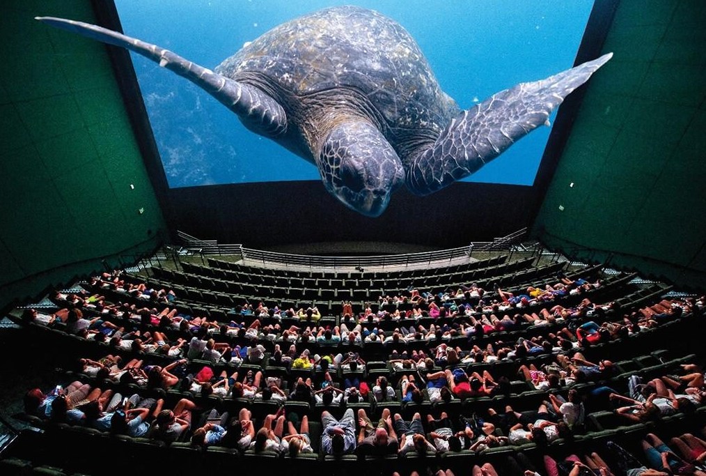 2343 Sanford Rd, Decatur GA  30033-5511 exterior