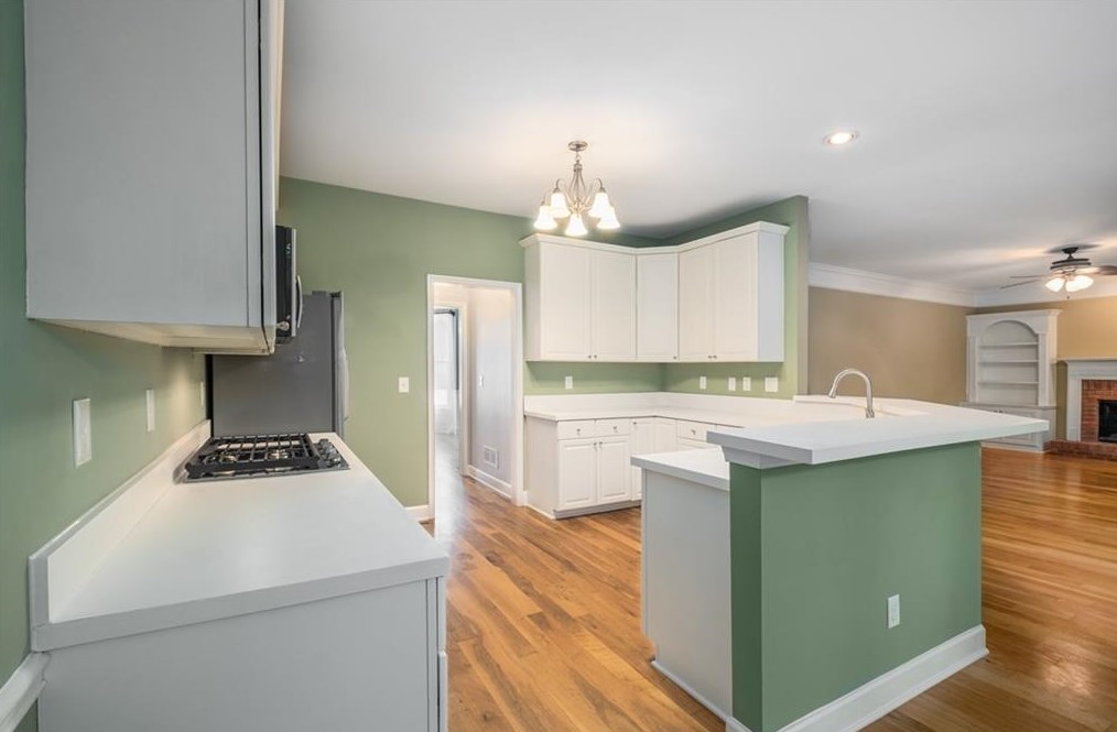 3062 Oaktree Ln, Duluth GA 30096-5886 exterior