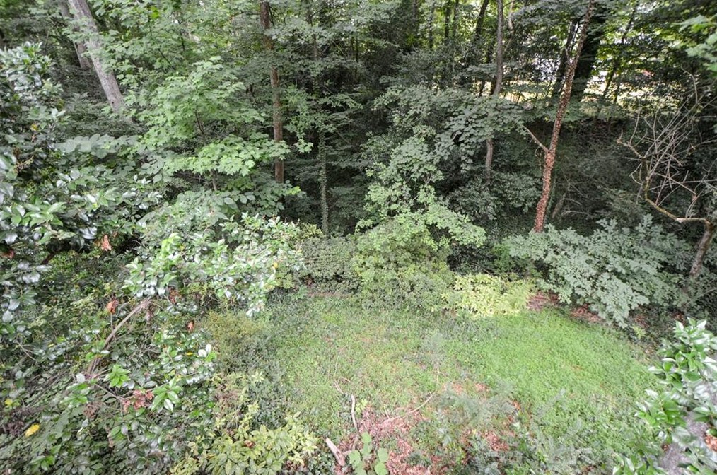 2437 Circlewood Rd, Atlanta GA  30345-1949 exterior