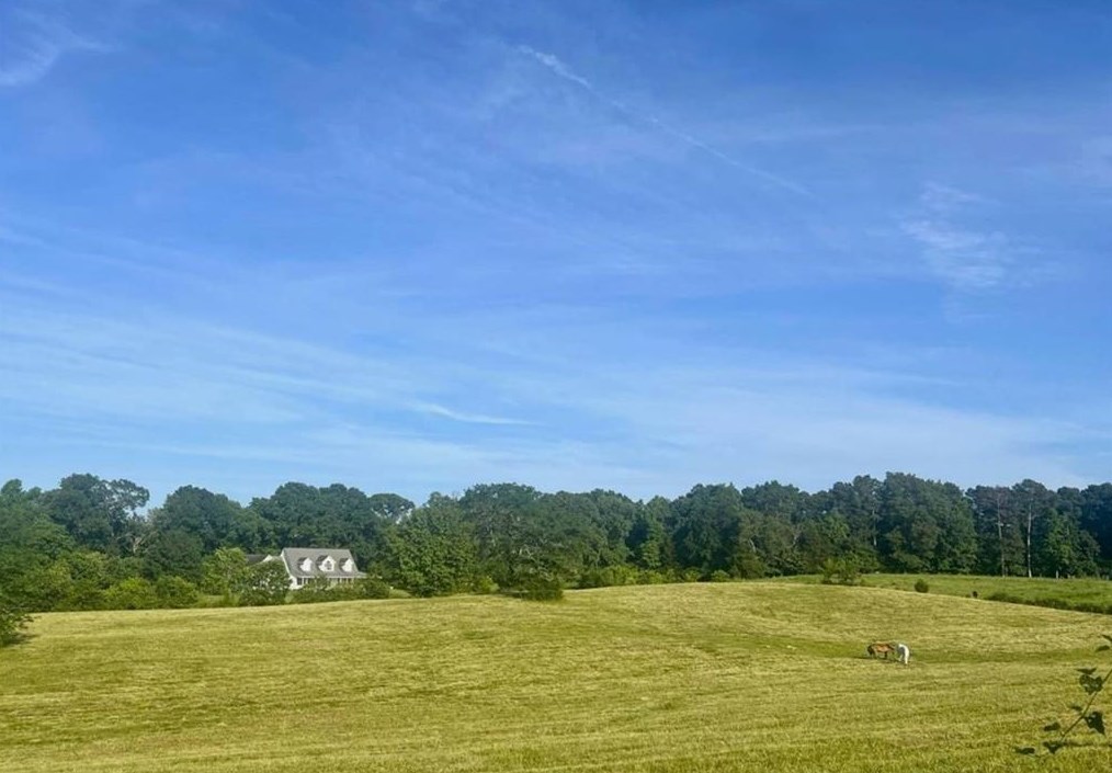 456 Knight Bottom Rd Se, Fairmount, GA 30139