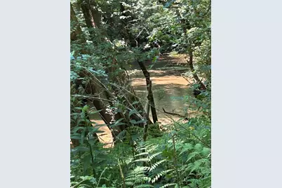 4542 E Hall Road, Gainesville, GA 30507 - Photo 12