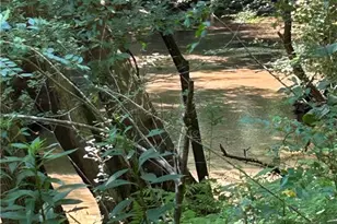 4542 E Hall Rd, Gainesville, GA 30507 - Photo 12