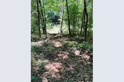 4542 E Hall Road, Gainesville, GA 30507 - Photo 10