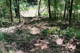 4542 E Hall Rd, Gainesville, GA 30507 - Photo 10