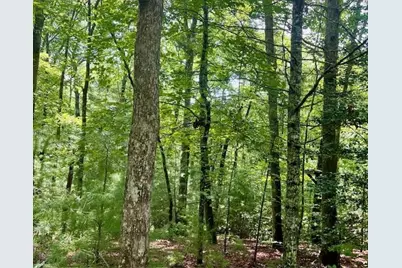 0 Hillbilly Holler, Blue Ridge, GA 30513 - Photo 2