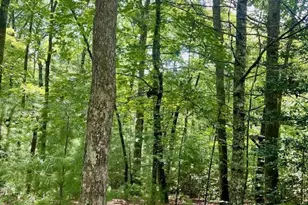 0 Hillbilly Holler, Blue Ridge, GA 30513 - Photo 2