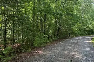 0 Hillbilly Holler, Blue Ridge, GA 30513 - Photo 4