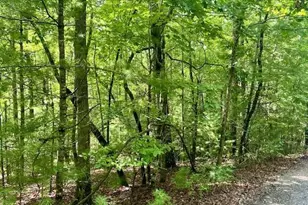 0 Hillbilly Holler, Blue Ridge, GA 30513 - Photo 6