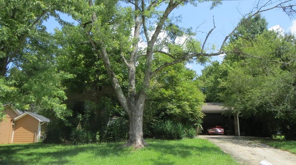 4104 Snapfinger Way, Decatur, GA 30035